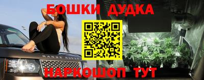 шишки Малгобек