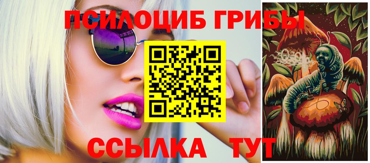 Галлюциногенные грибы MAGIC MUSHROOMS  Вход с VPN  Янаул 