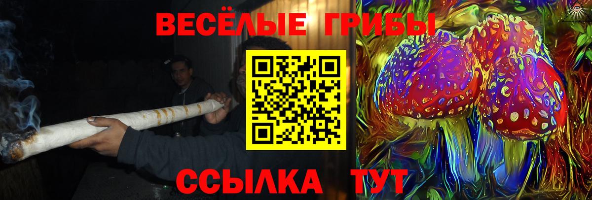 Псилоцибиновые грибы Psilocybine cubensis Янаул